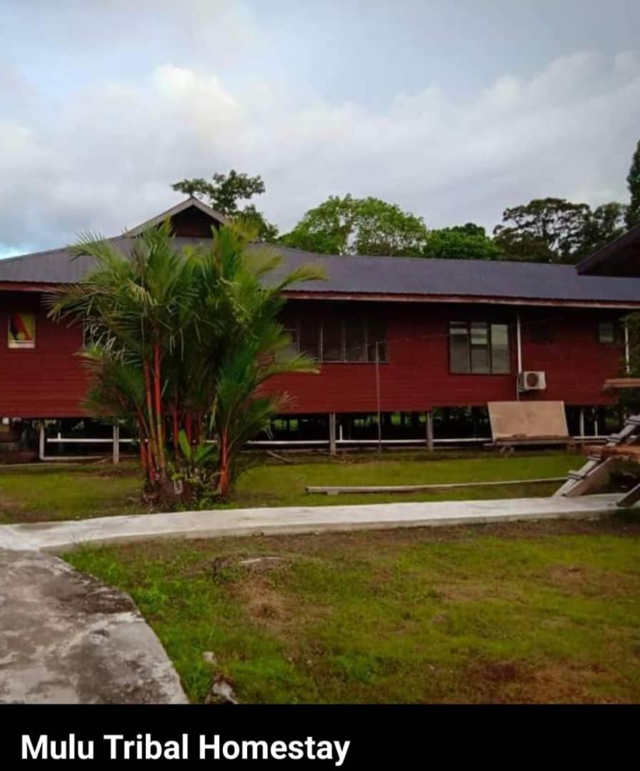 Mulu Tribal Homestay Экстерьер фото