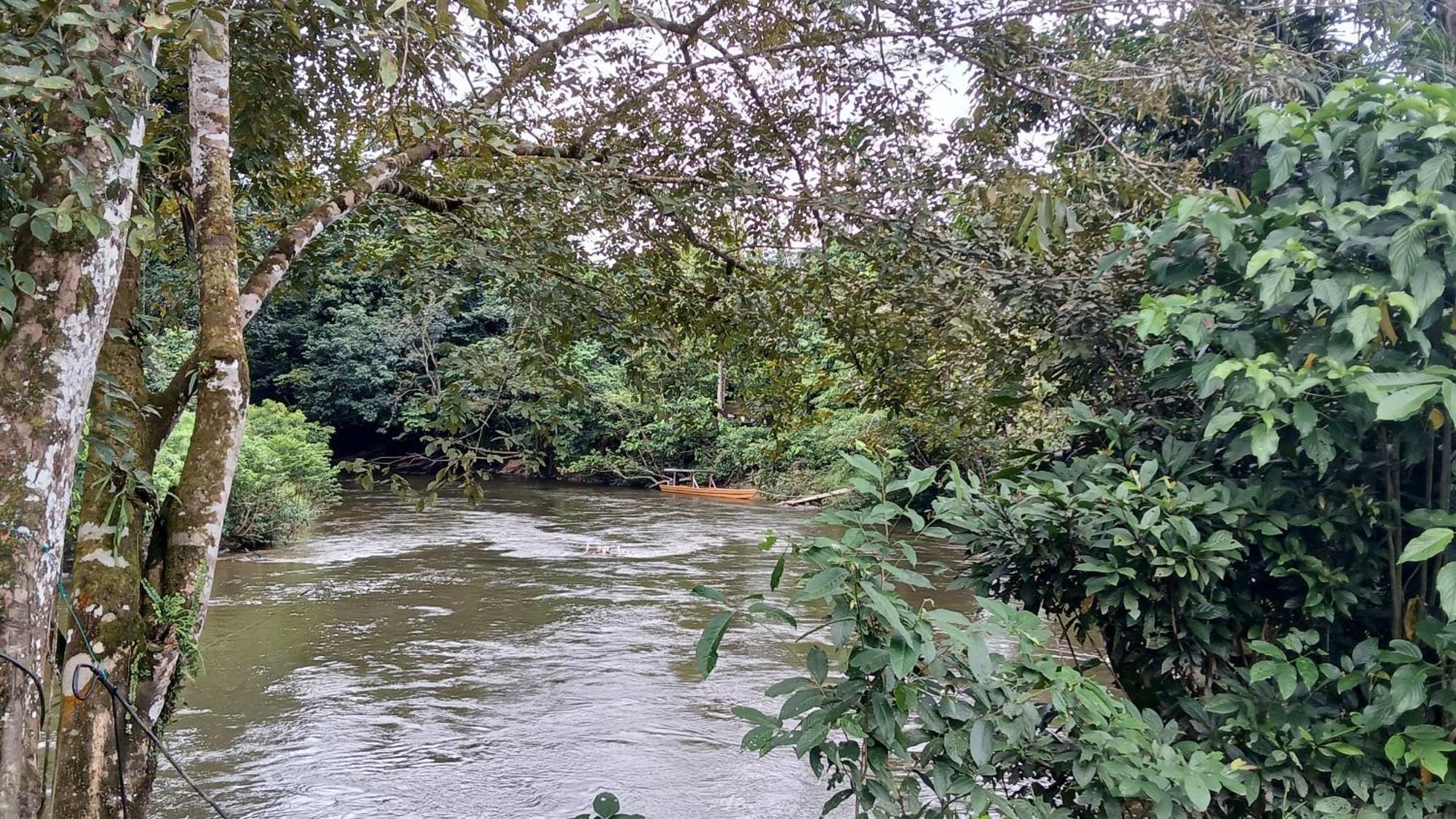 Mulu Tribal Homestay Экстерьер фото