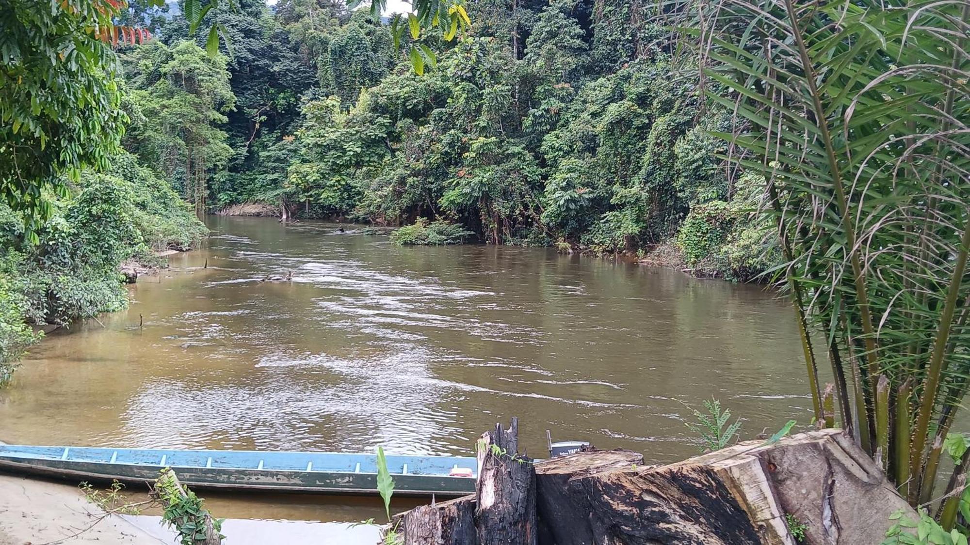 Mulu Tribal Homestay Экстерьер фото